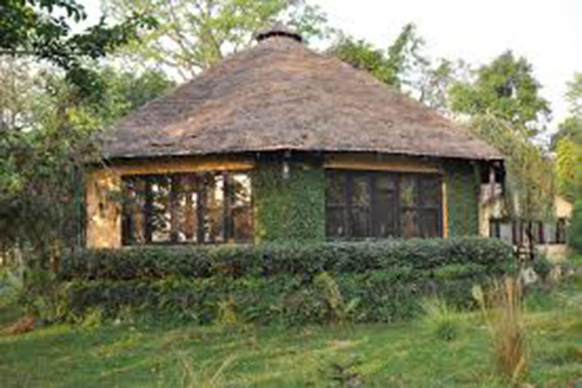 Chitwan Adventure Resort Sauraha Bagian luar foto